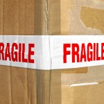 Dylan, Taleb en de&nbsp;Antifragiliteit